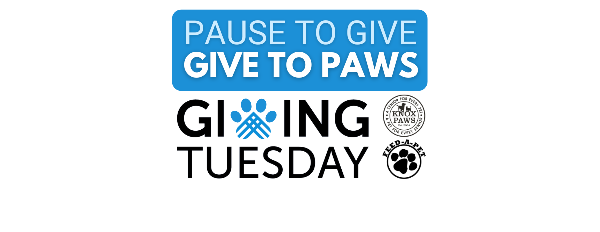 Knox PAWS & Feed-A-Pet Giving Tuesday 2024